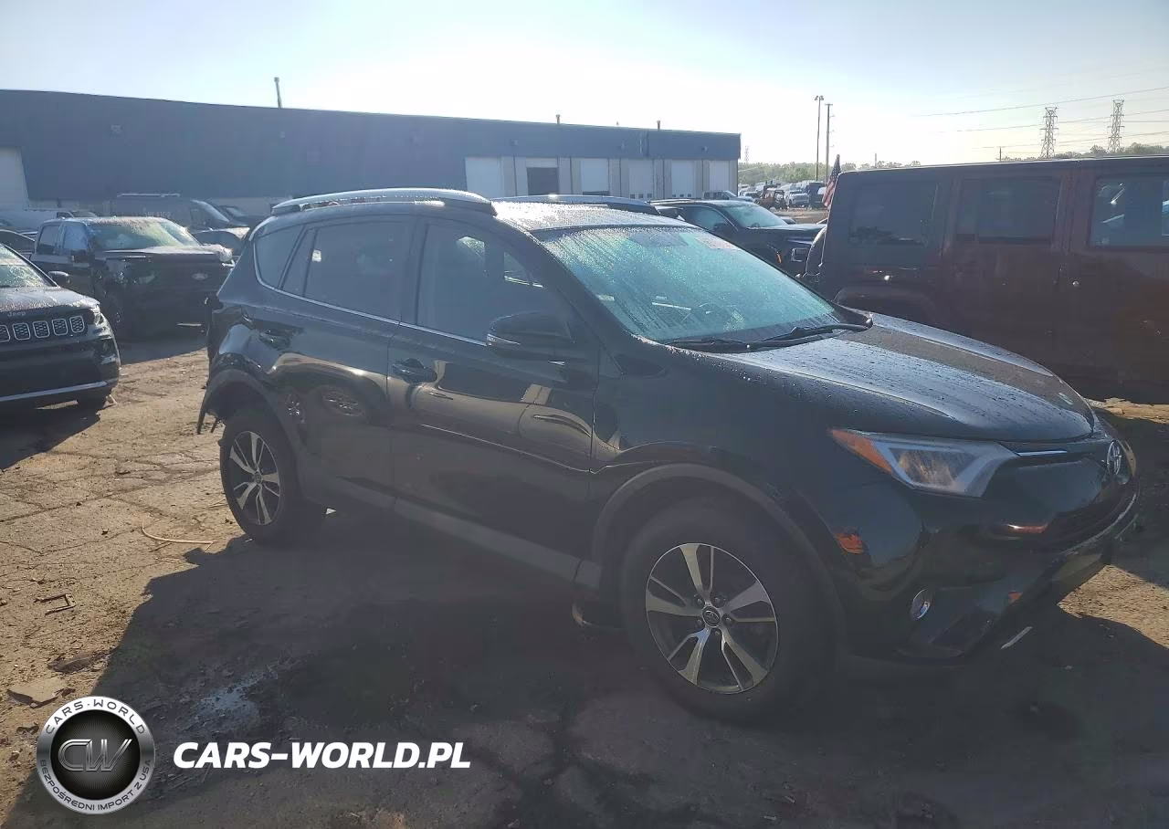 2016 Toyota Rav4 Xle VIN:2T3RFREV6GW449090 - 4