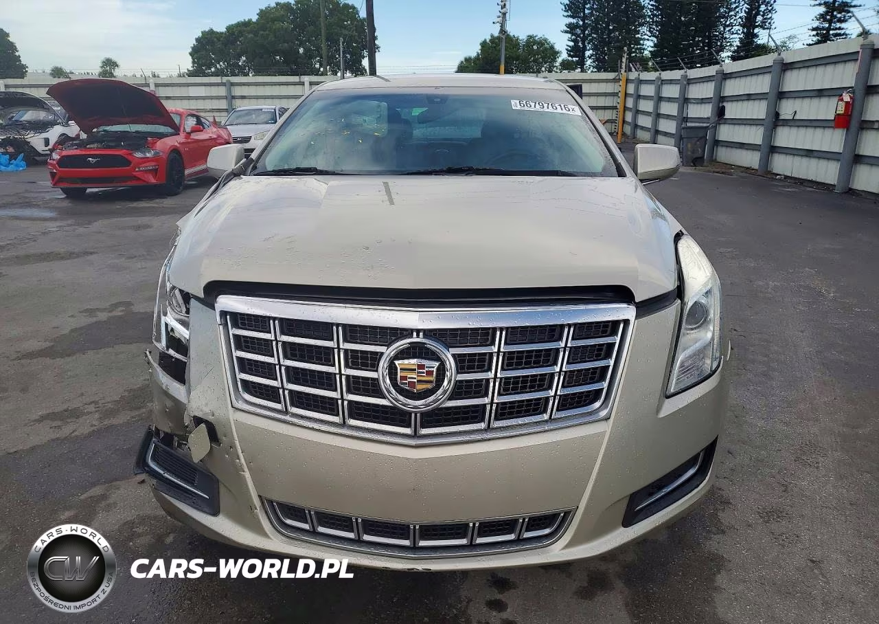 2015 Cadillac Xts VIN:2G61L5S35F9169822 - 5