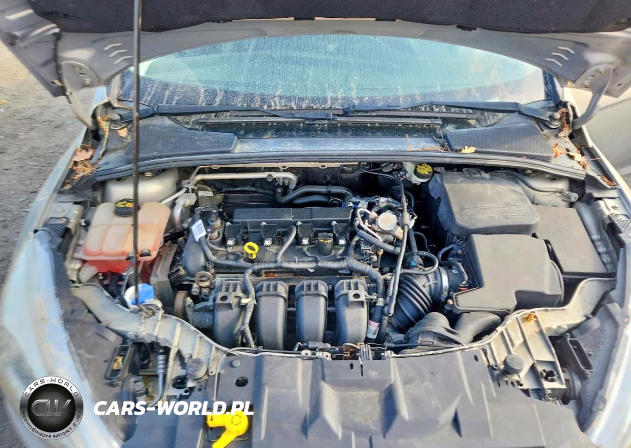2016 Ford Focus Se VIN:1FADP3F22GL370906 - 11