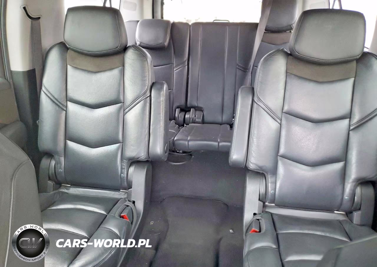 2020 Cadillac Escalade Esv VIN:1GYS4GKJ5LR170411 - 10
