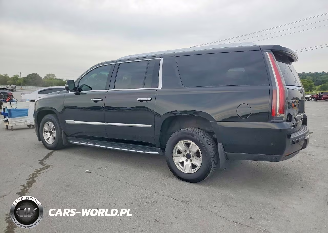 2020 Cadillac Escalade Esv VIN:1GYS4GKJ5LR170411 - 2