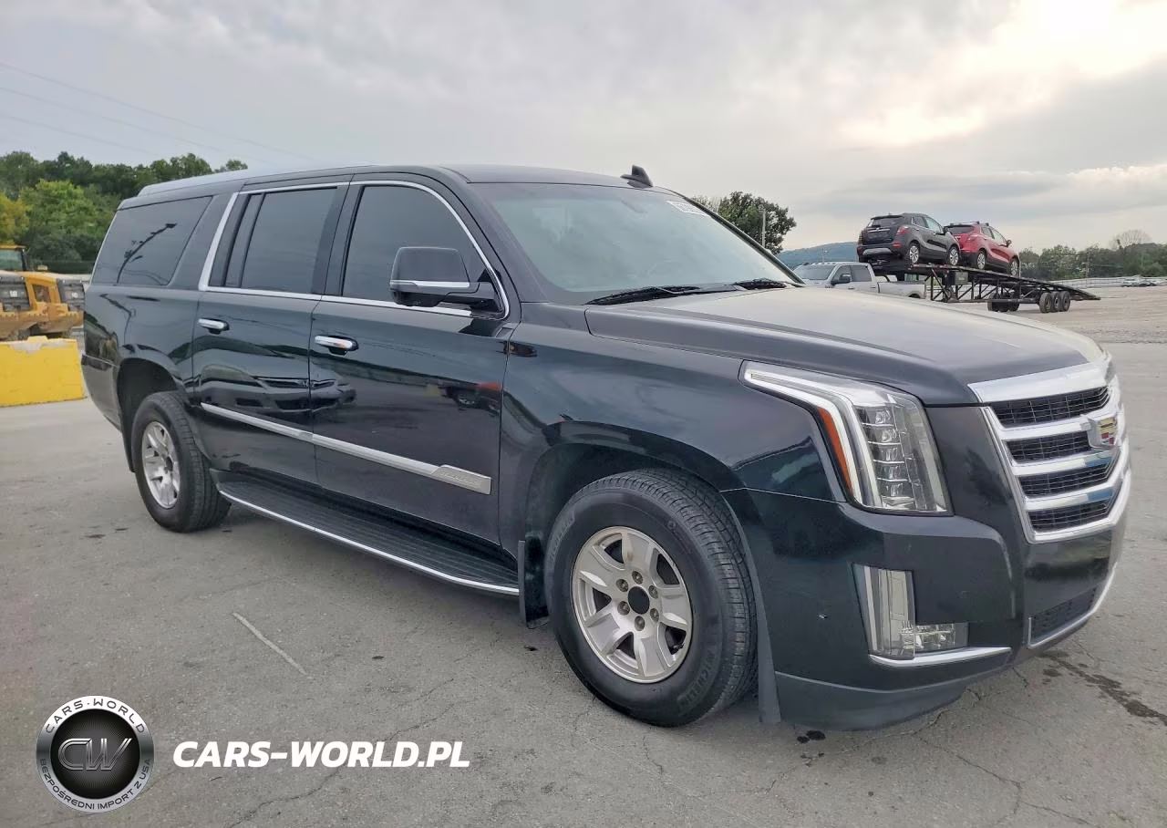 2020 Cadillac Escalade Esv VIN:1GYS4GKJ5LR170411 - 4