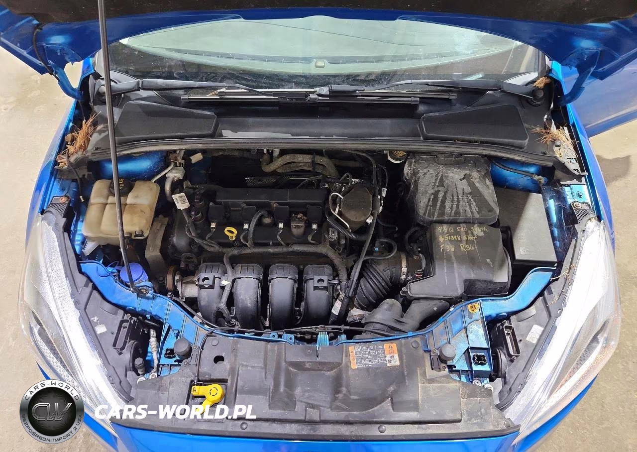 2016 Ford Focus Se VIN:1FADP3F23GL248118 - 11