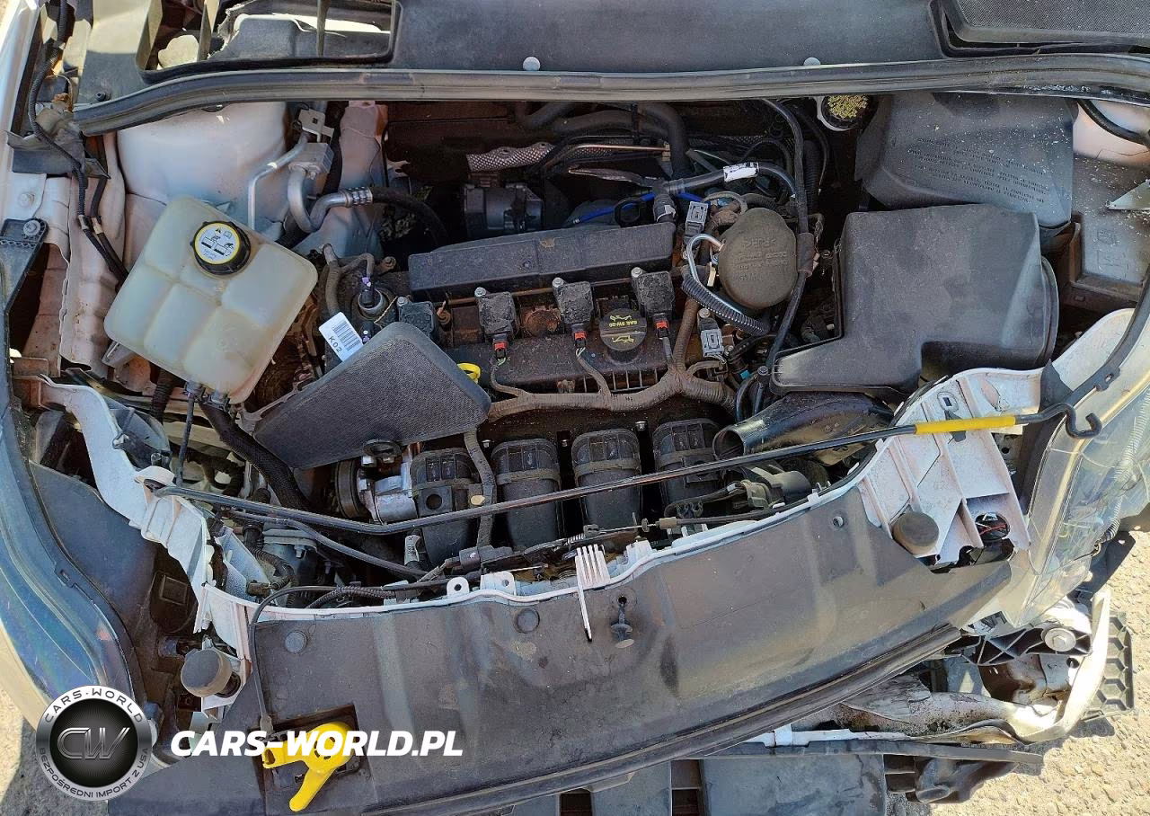 2013 Ford Focus Titanium VIN:1FADP3N24DL184068 - 11