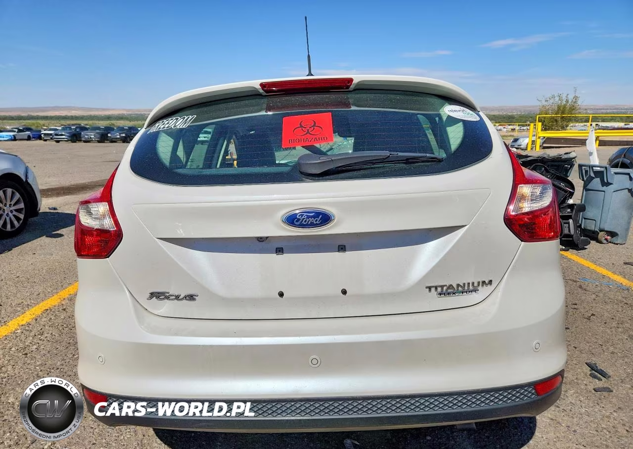 2013 Ford Focus Titanium VIN:1FADP3N24DL184068 - 6