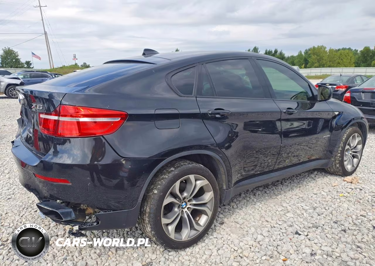 2013 BMW X6 XDRIVE50I VIN:5UXFG8C52DL591320 - 3