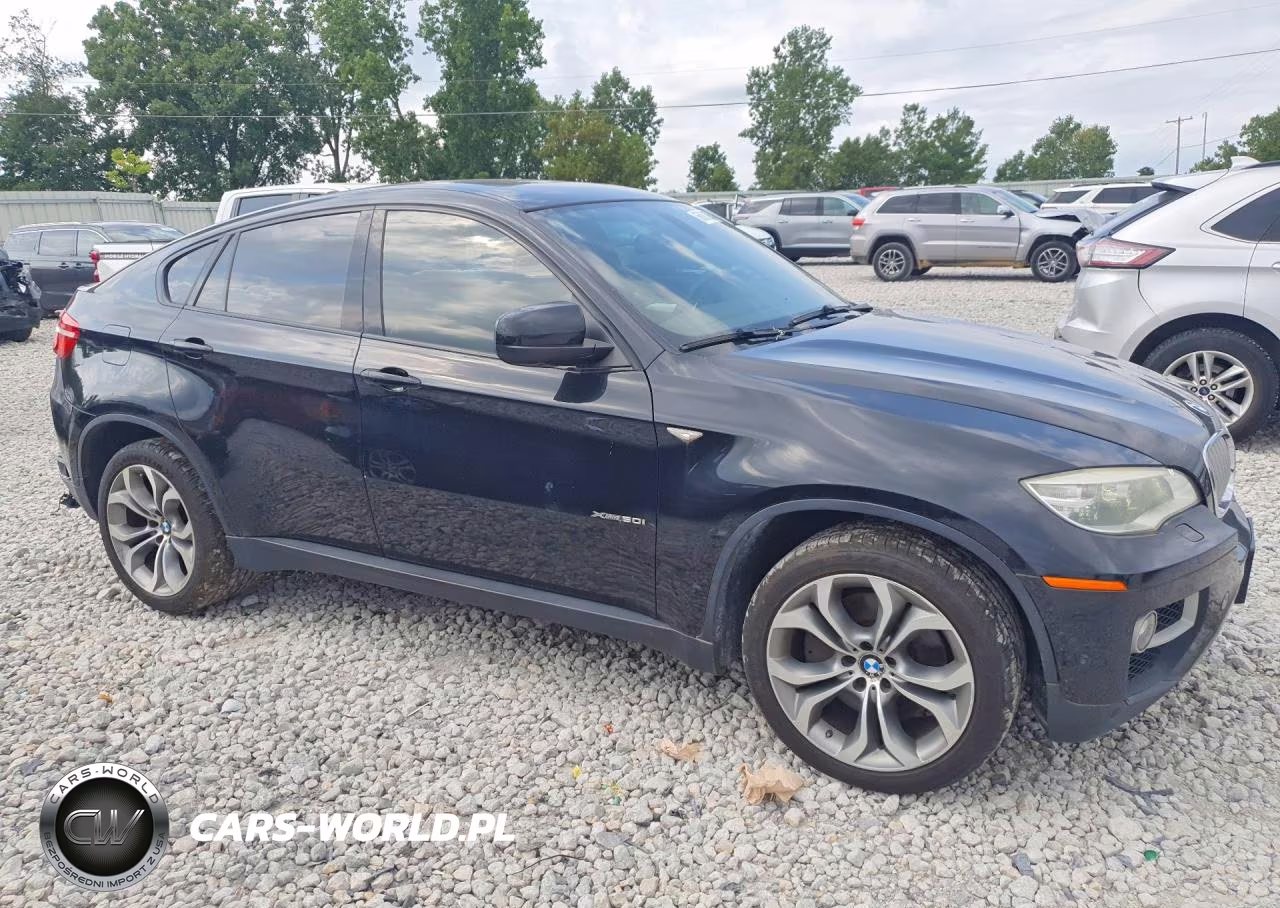 2013 BMW X6 XDRIVE50I VIN:5UXFG8C52DL591320 - 4