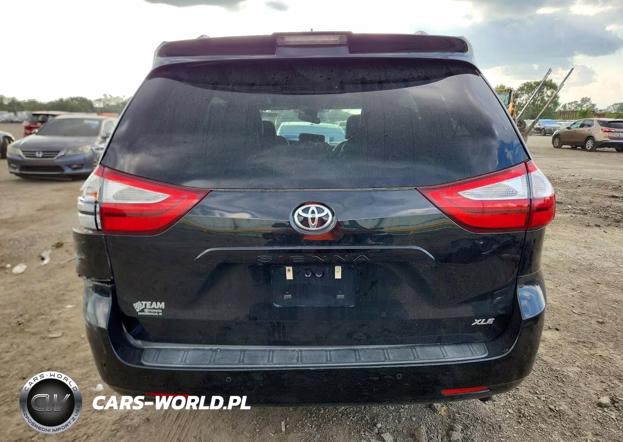 2018 Toyota Sienna Xle 8-Passenger VIN:5TDYZ3DC7JS959098 - 6