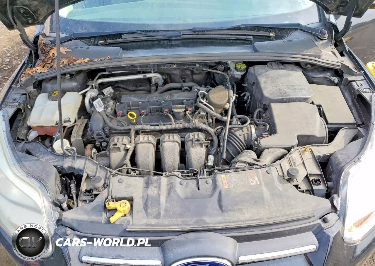 2014 Ford Focus Se VIN:1FADP3F26EL360487 - 11
