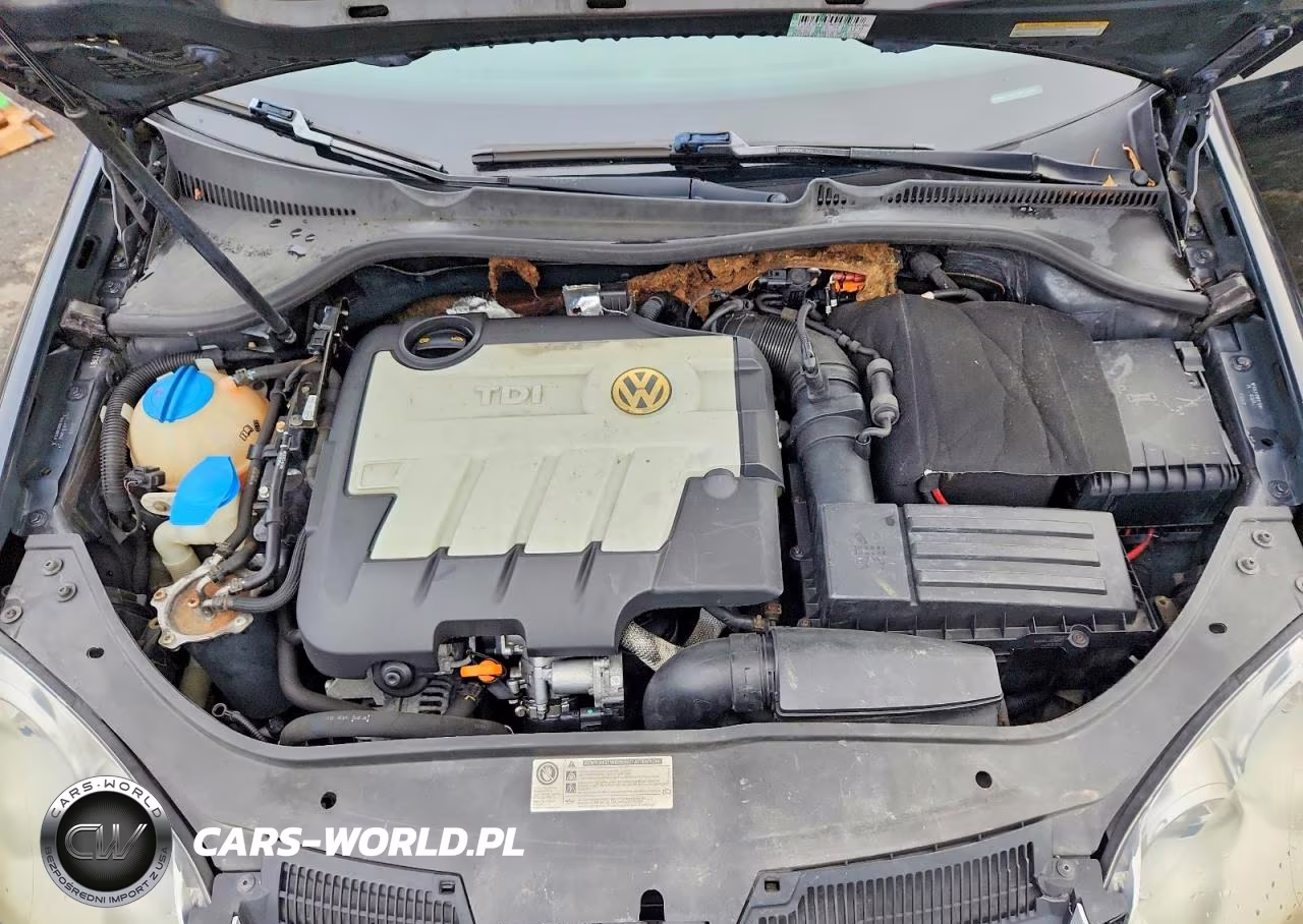 2009 Volkswagen Jetta Tdi VIN:3VWRL71K19M176361 - 11