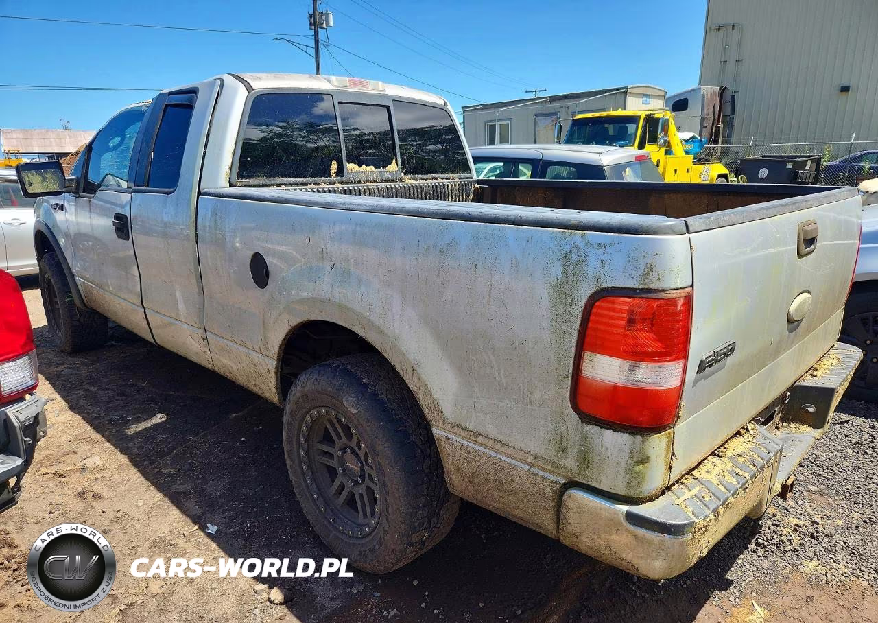 2006 Ford F150 VIN:1FTPX12516NA29110 - 2