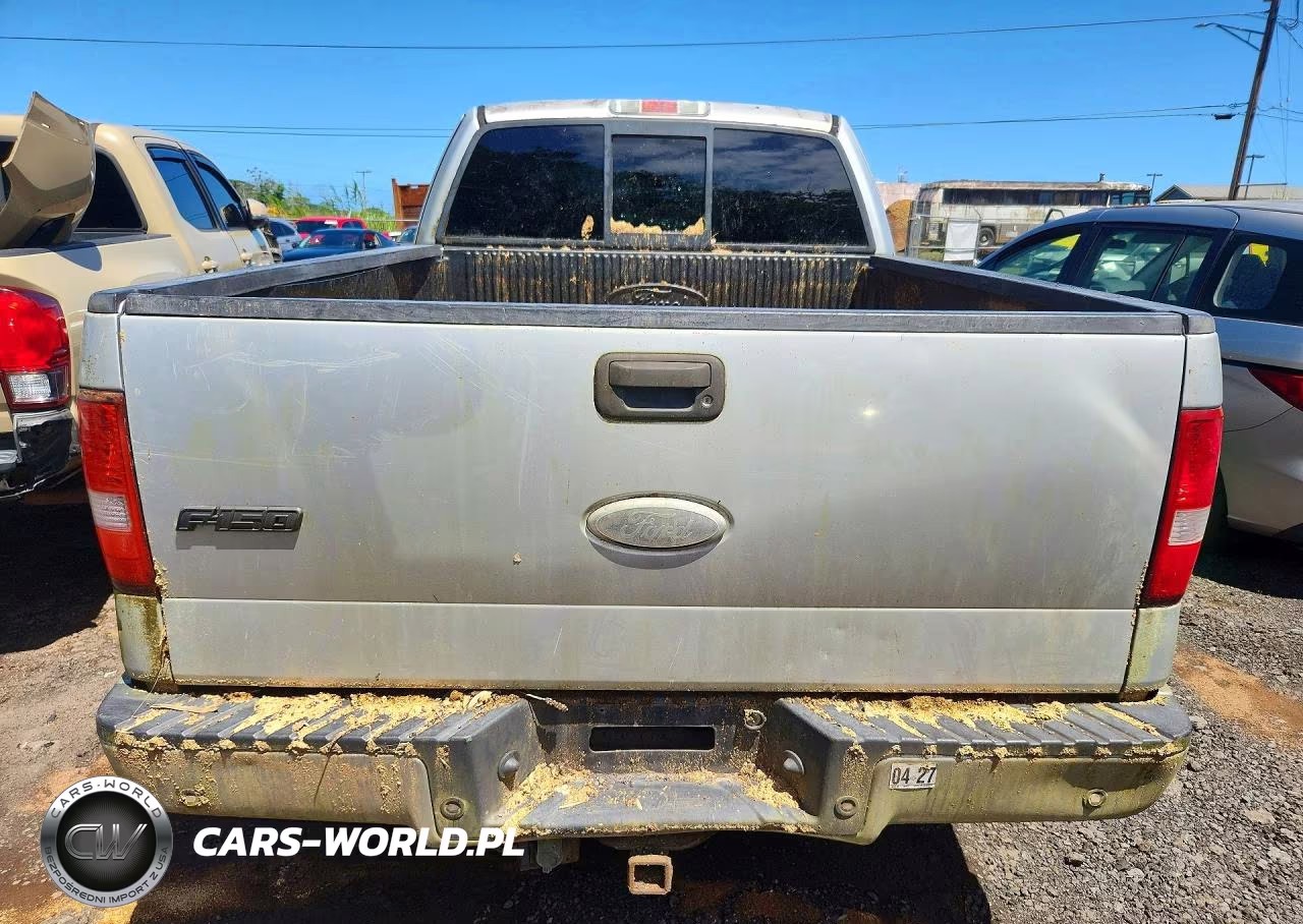 2006 Ford F150 VIN:1FTPX12516NA29110 - 6