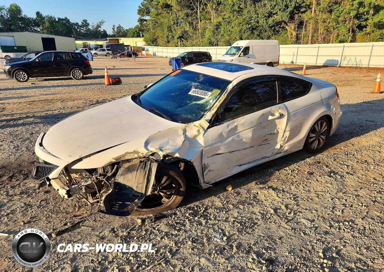 2009 Honda Accord Exl VIN:1HGCS12869A013117 - 1