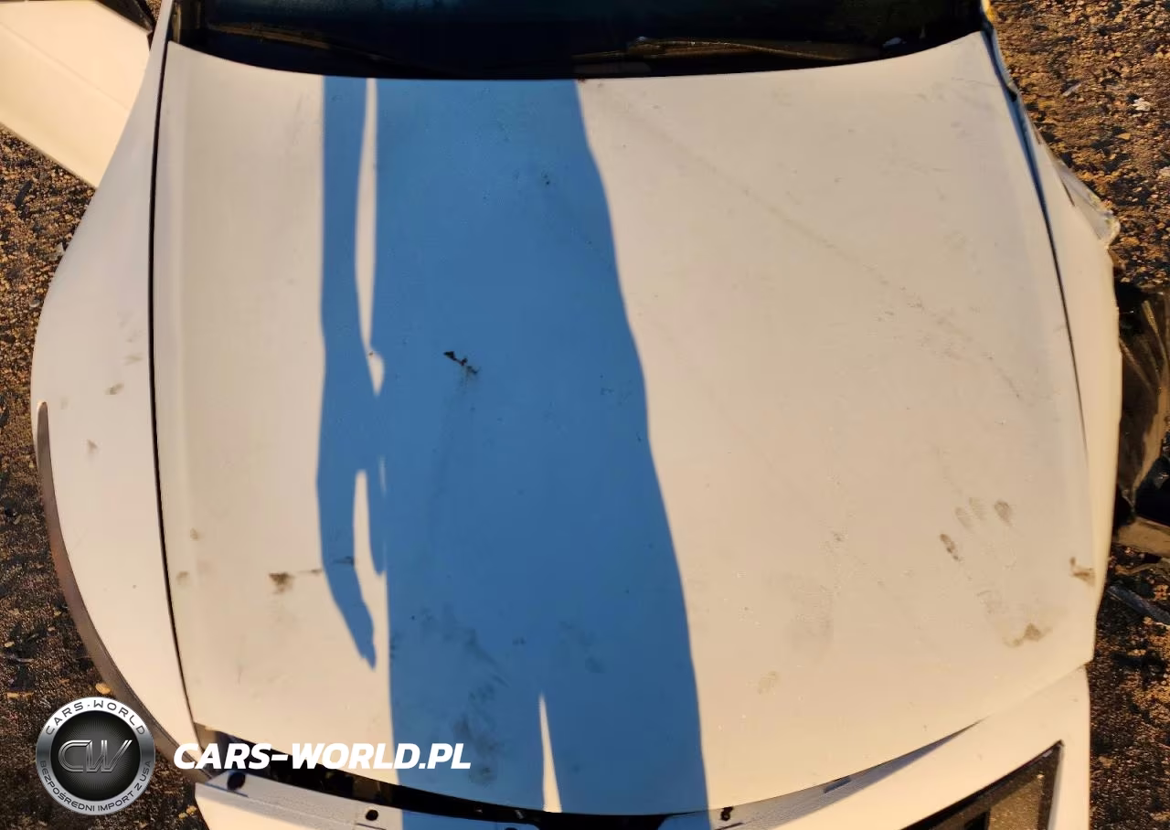 2009 Honda Accord Exl VIN:1HGCS12869A013117 - 11