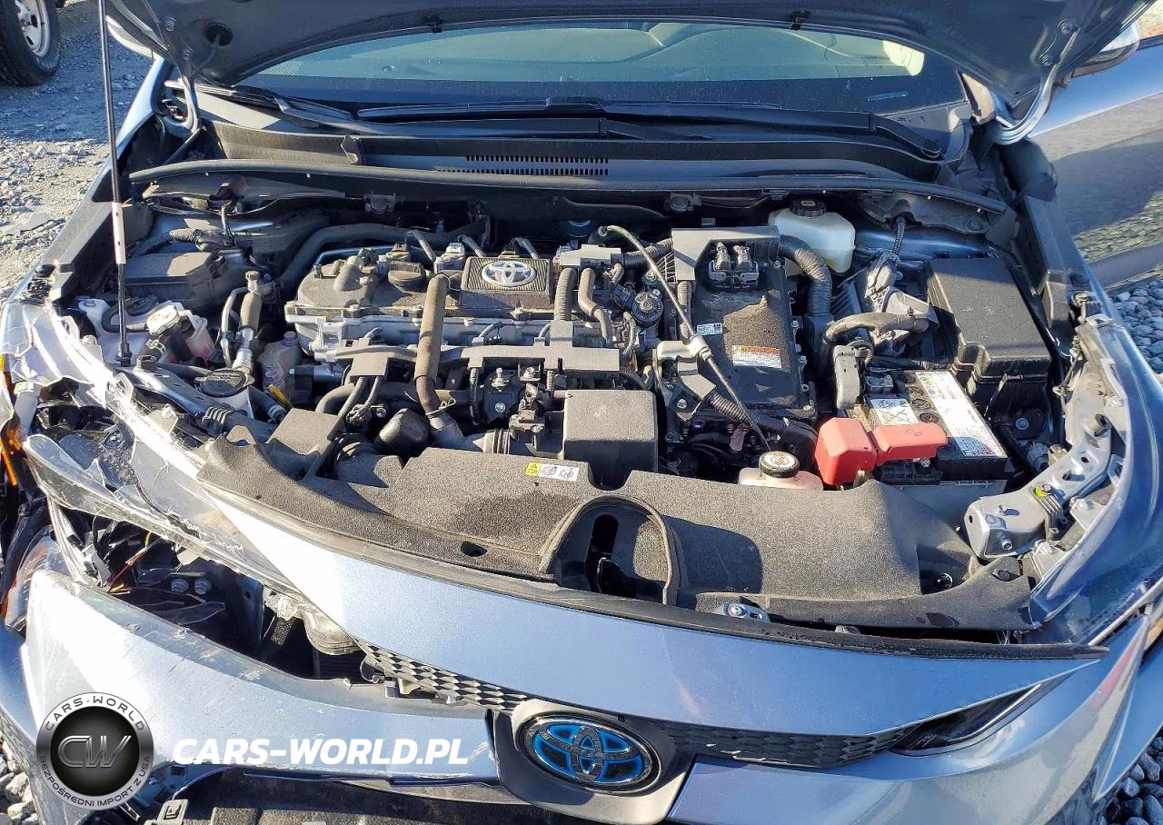 2021 Toyota Corolla Le VIN:JTDEAMDE2MJ008004 - 11