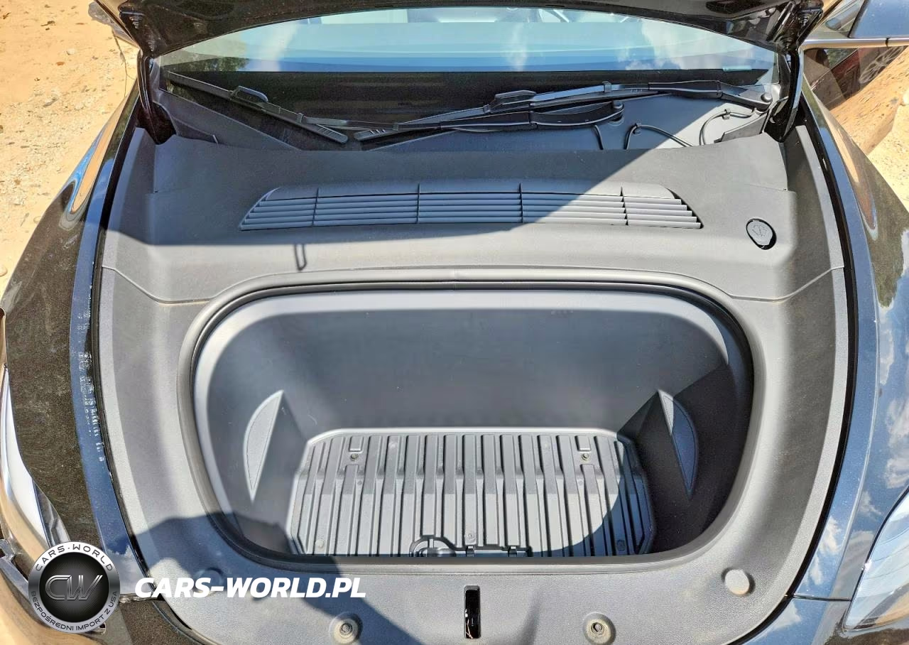 2024 Tesla Model Y VIN:7SAYGDEE3RA270574 - 11