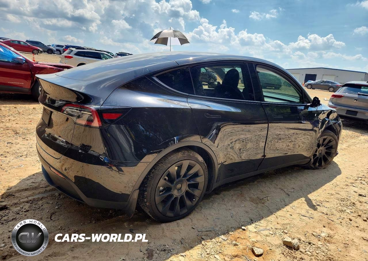 2024 Tesla Model Y VIN:7SAYGDEE3RA270574 - 3