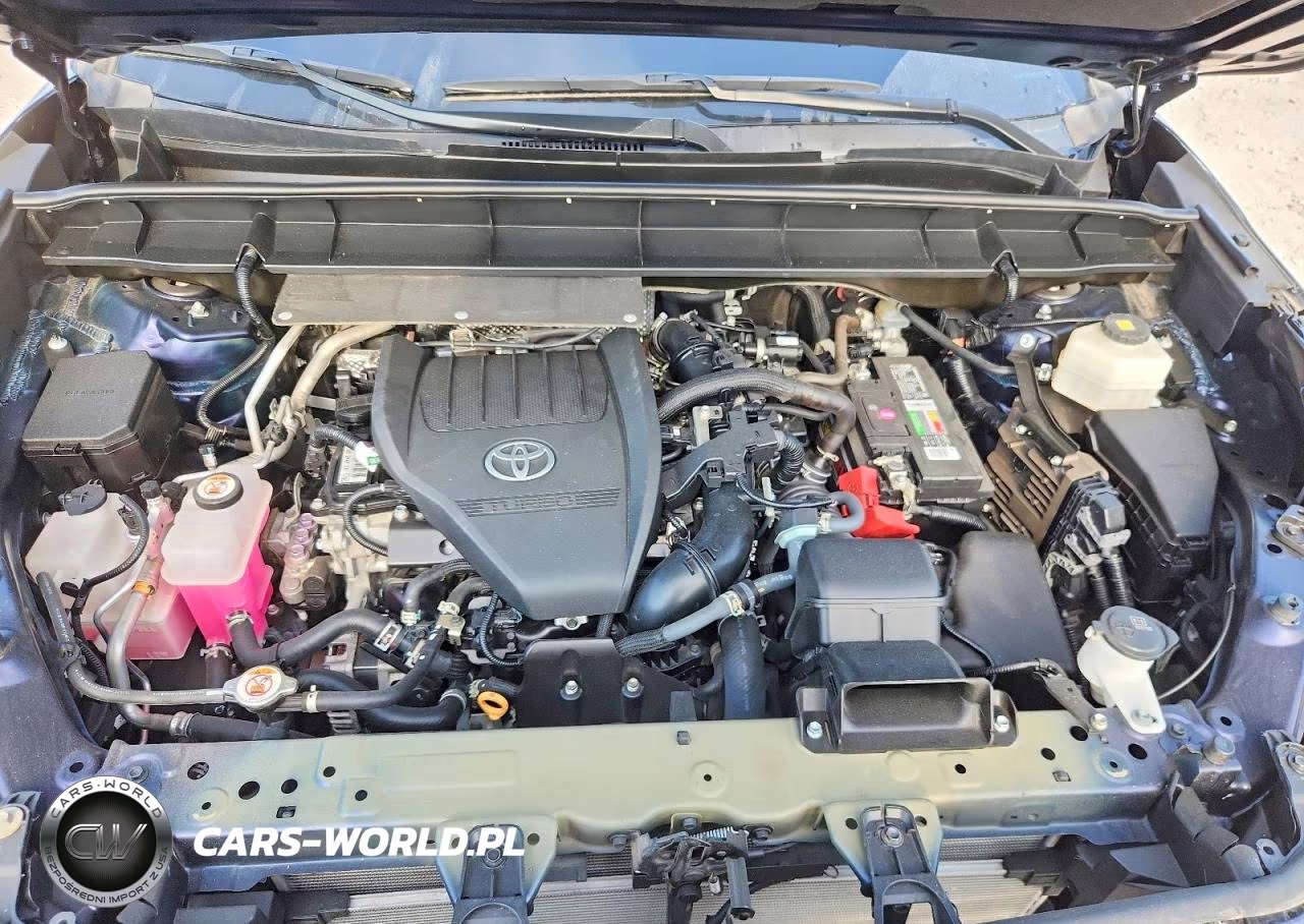2023 TOYOTA HIGHLANDER L VIN:5TDKDRAH0PS504108 - 12