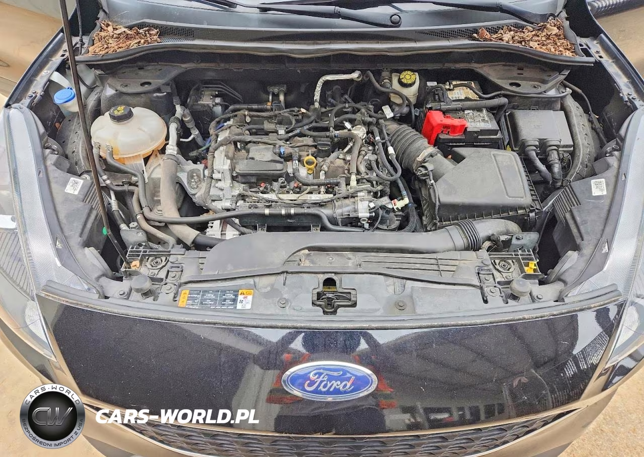 2021 Ford Escape Sel VIN:1FMCU9H67MUB34349 - 12