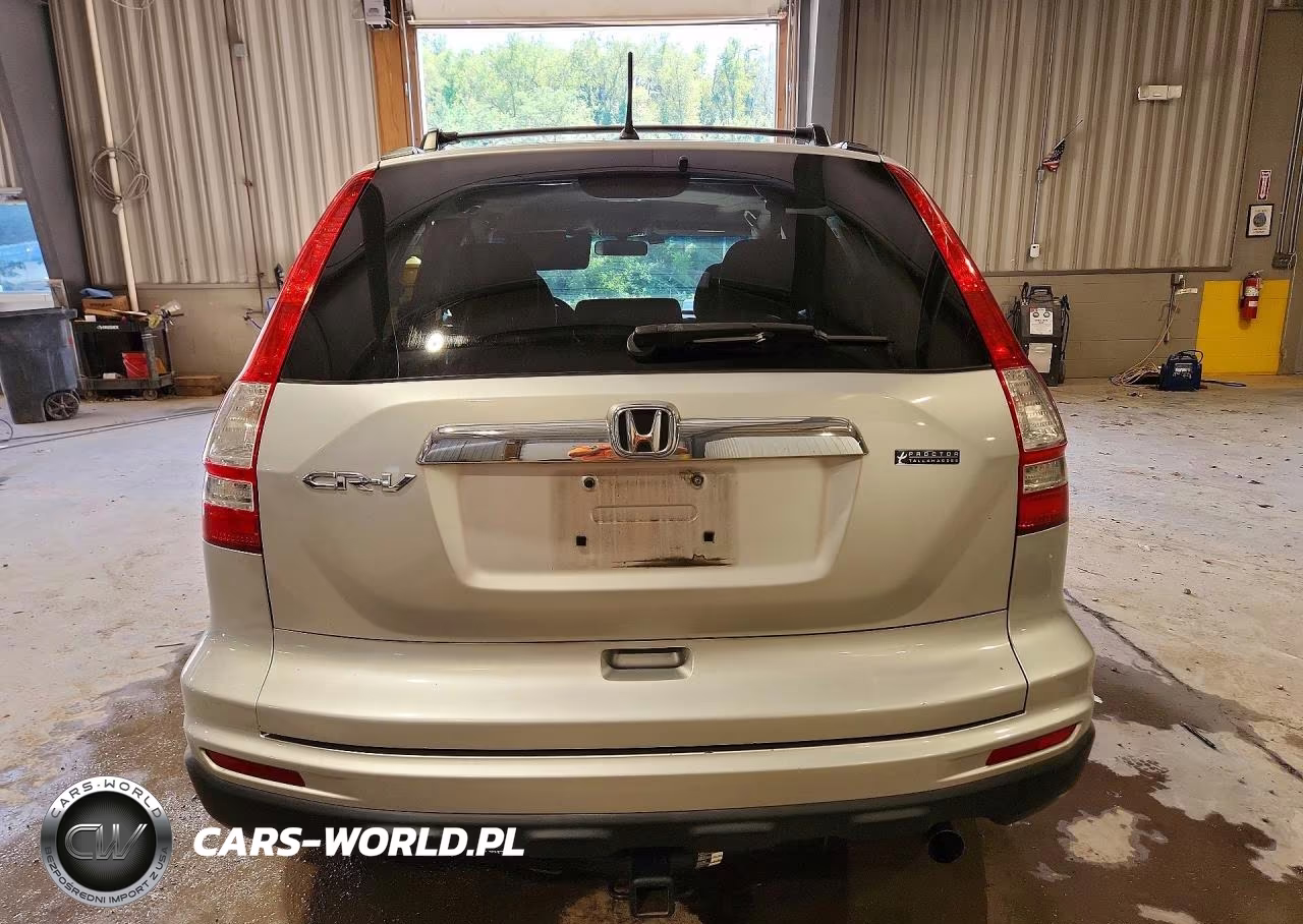 2010 Honda Cr-V Ex VIN:5J6RE3H54AL029117 - 6