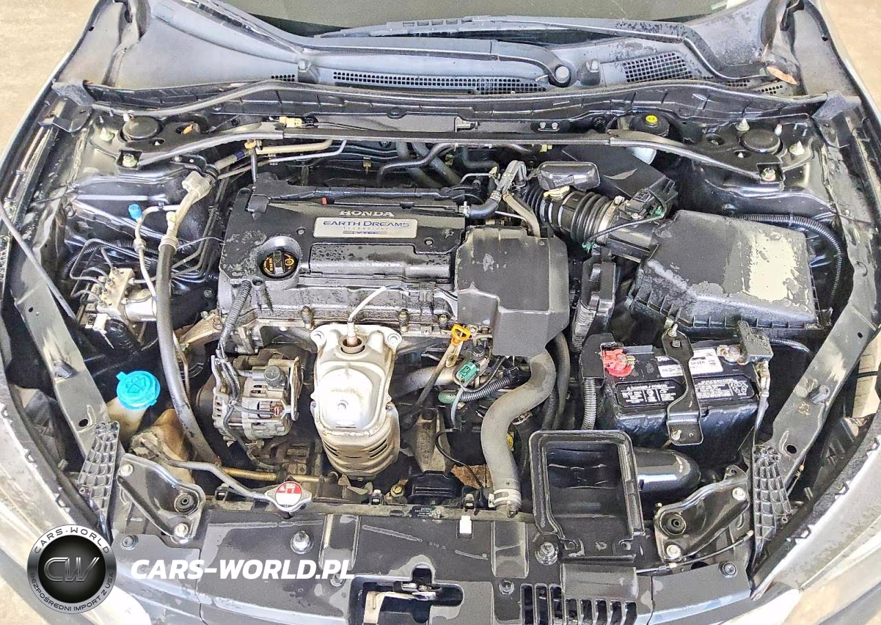 2013 Honda Accord Exl VIN:1HGCR2F86DA141006 - 11