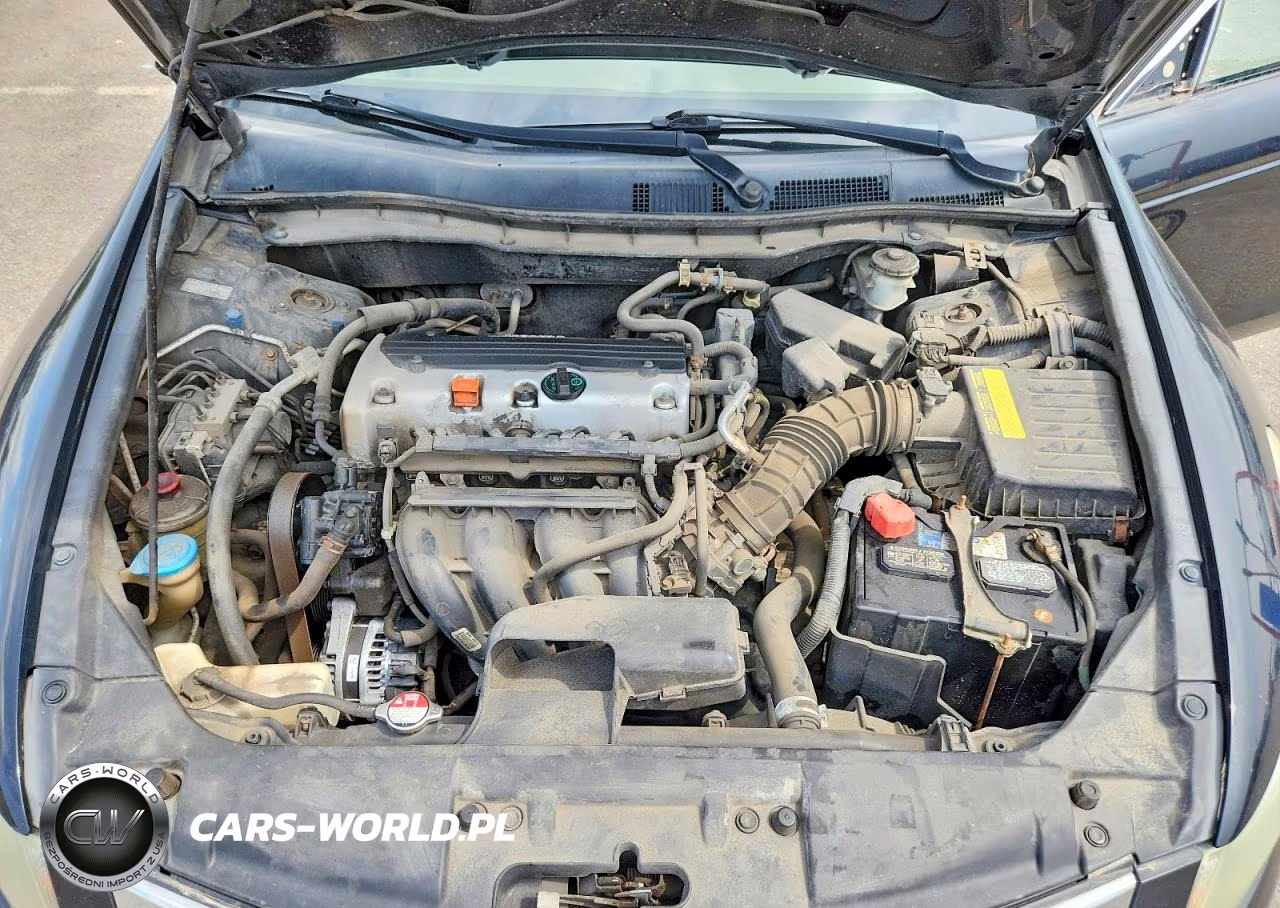2010 Honda Accord Lxp VIN:1HGCP2F41AA072286 - 11