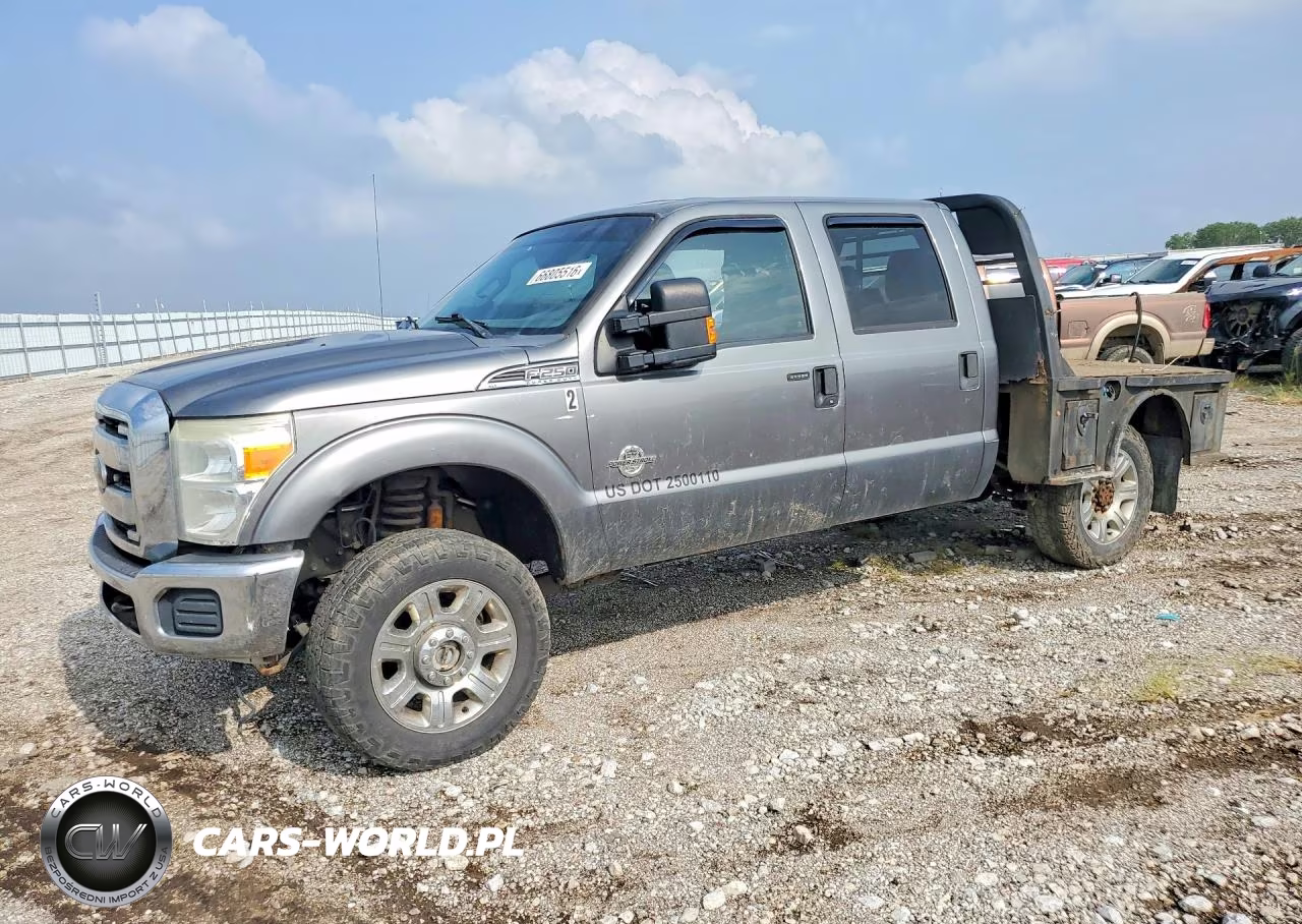 2011 Ford F250 Super Duty VIN:1FT7W2BT5BEA47899 - 1