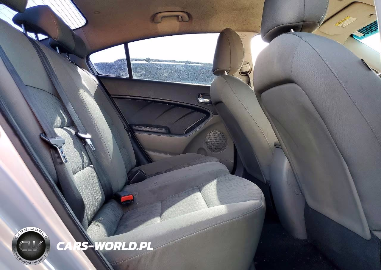 2015 Kia Forte Lx VIN:KNAFK4A69F5426017 - 10