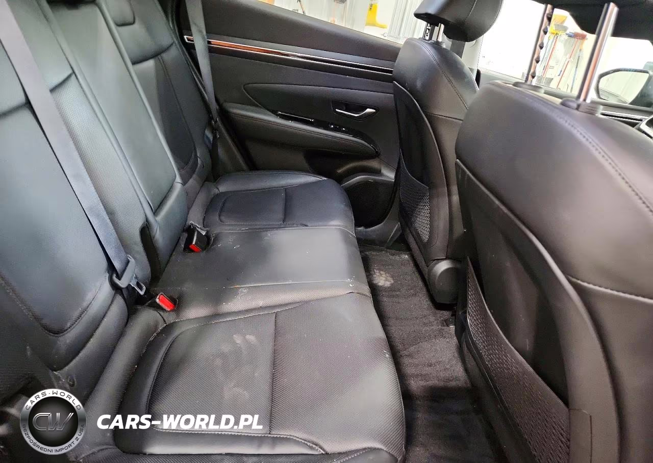 2024 Hyundai Tucson Limited VIN:KM8JFDD20RU233075 - 11