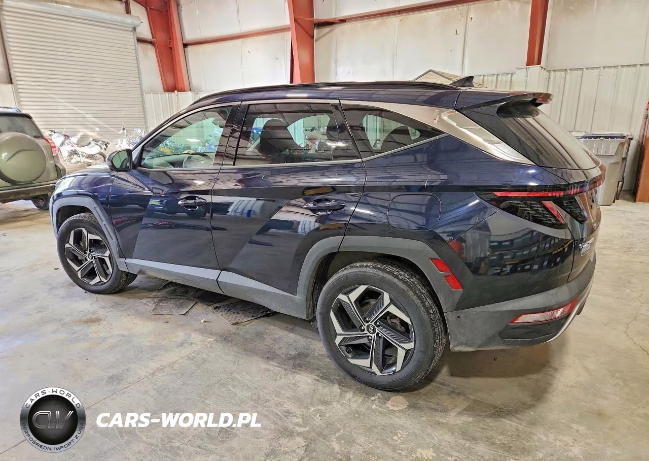 2024 Hyundai Tucson Limited VIN:KM8JFDD20RU233075 - 2