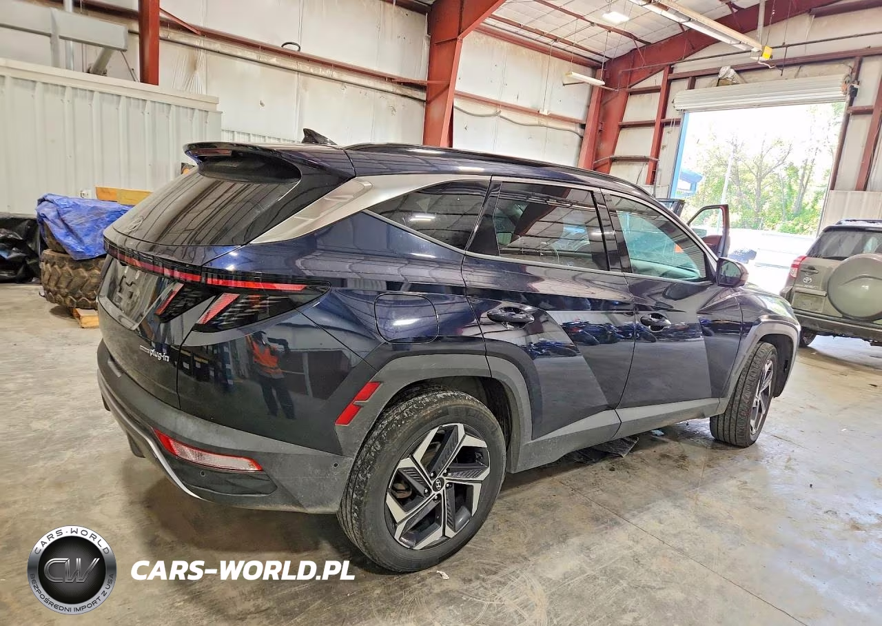 2024 Hyundai Tucson Limited VIN:KM8JFDD20RU233075 - 3