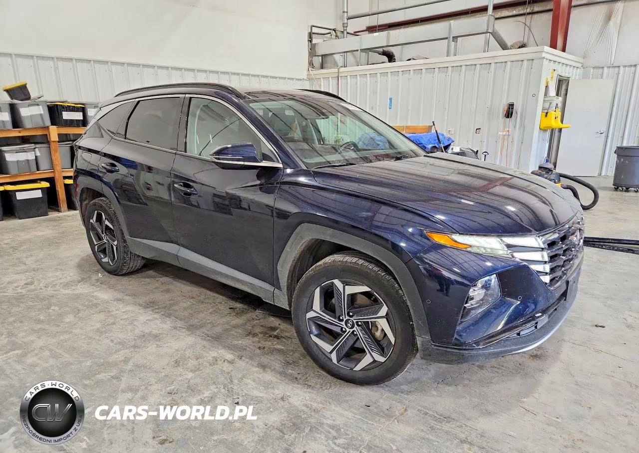 2024 Hyundai Tucson Limited VIN:KM8JFDD20RU233075 - 4