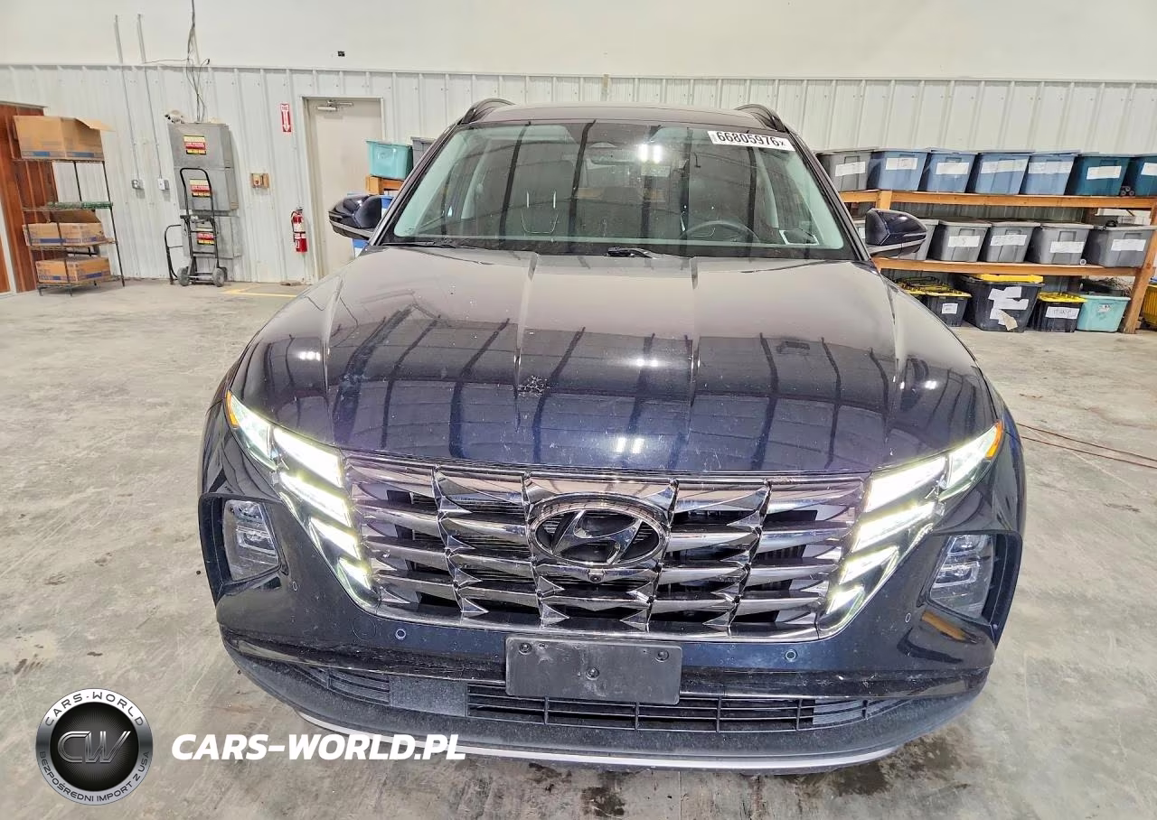 2024 Hyundai Tucson Limited VIN:KM8JFDD20RU233075 - 5