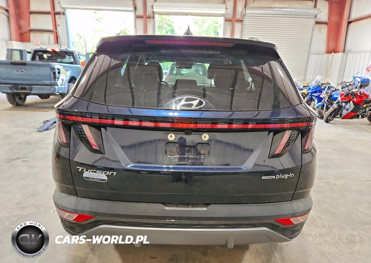 2024 Hyundai Tucson Limited VIN:KM8JFDD20RU233075 - 6