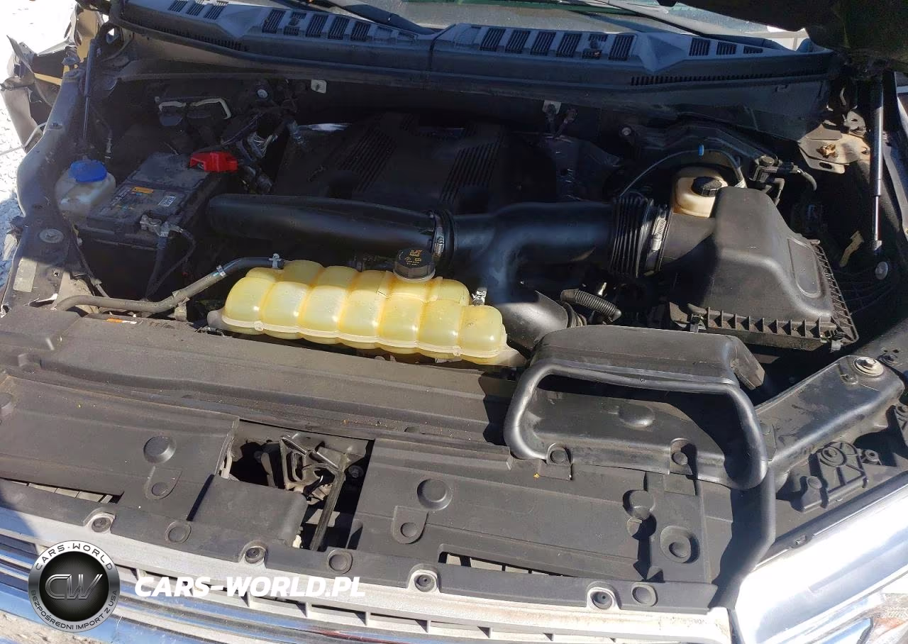 2019 Ford F150 Supercrew VIN:1FTEW1E41KFB62659 - 11