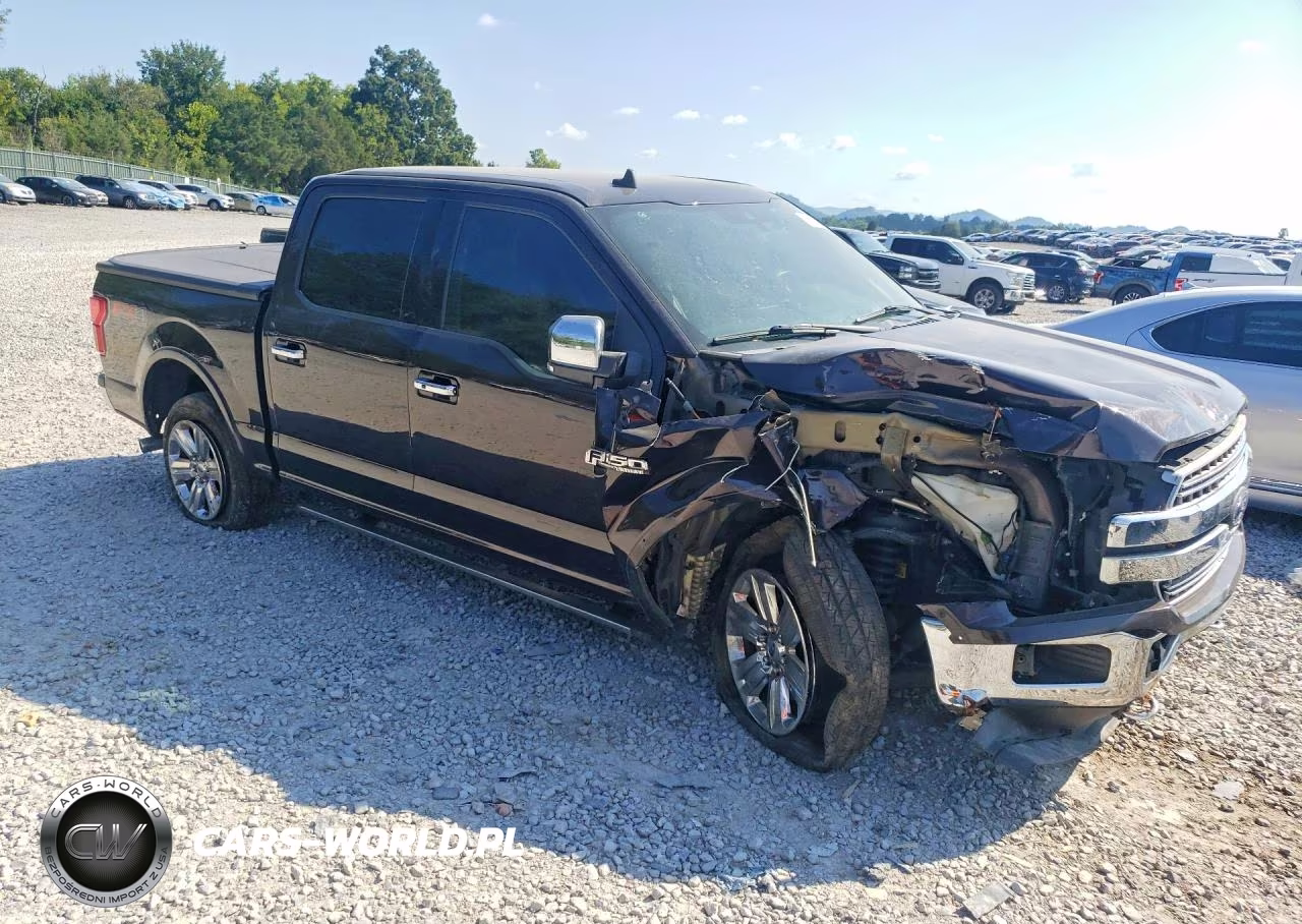 2019 Ford F150 Supercrew VIN:1FTEW1E41KFB62659 - 4