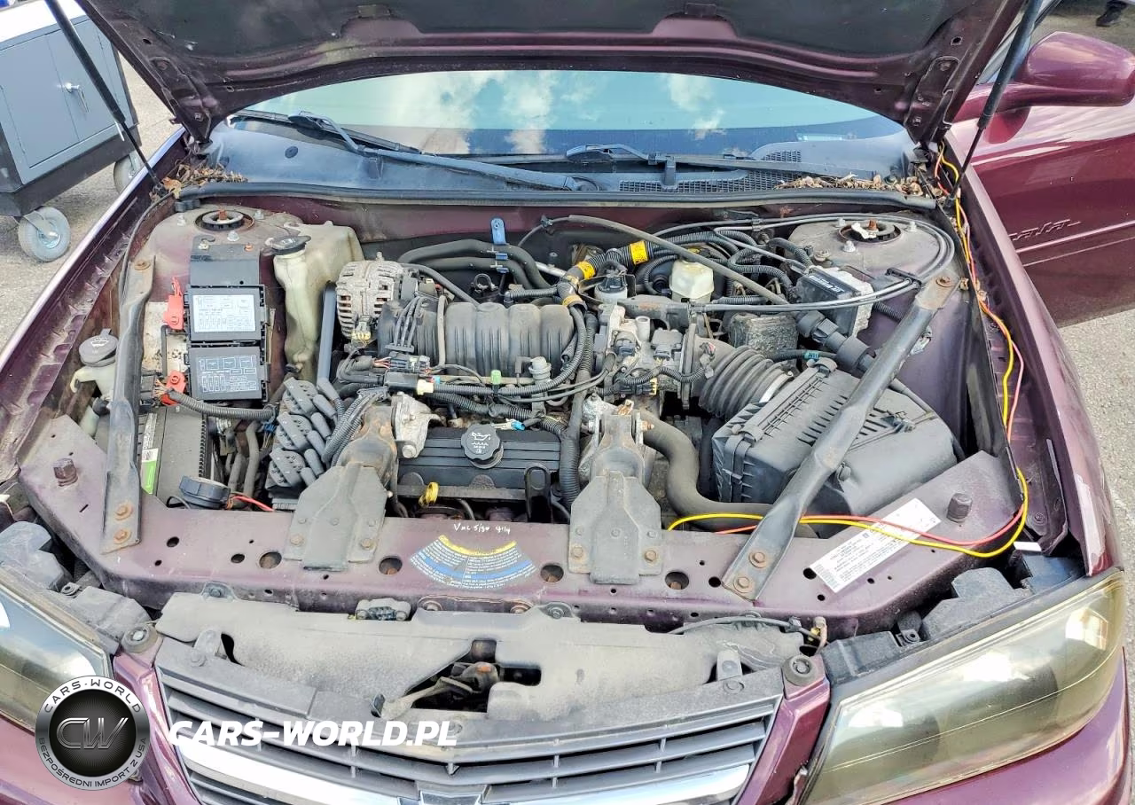 2004 Chevrolet Impala Ls VIN:2G1WH52KX49326570 - 11