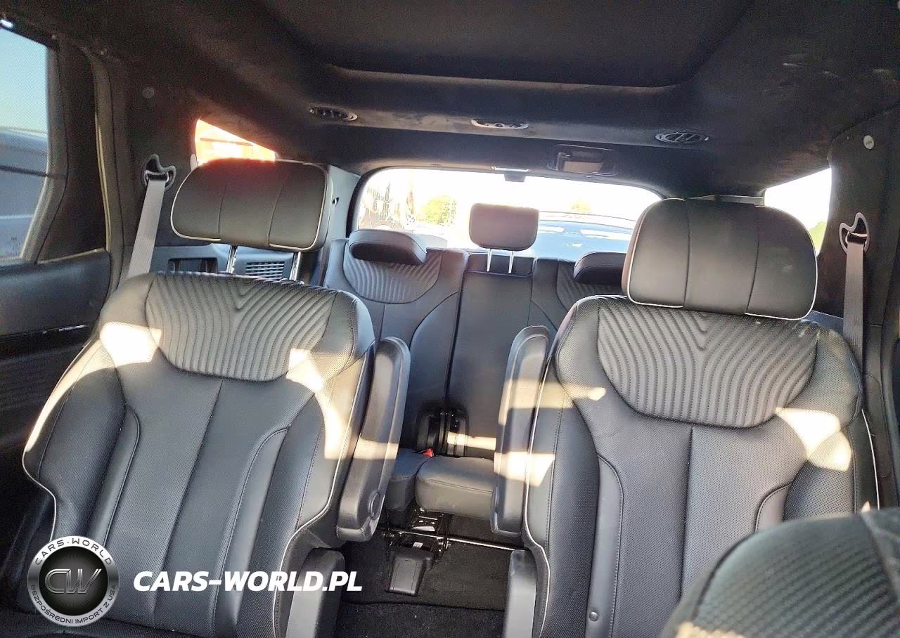 2024 Hyundai Palisade Calligraphy VIN:KM8R7DGE0RU701098 - 10
