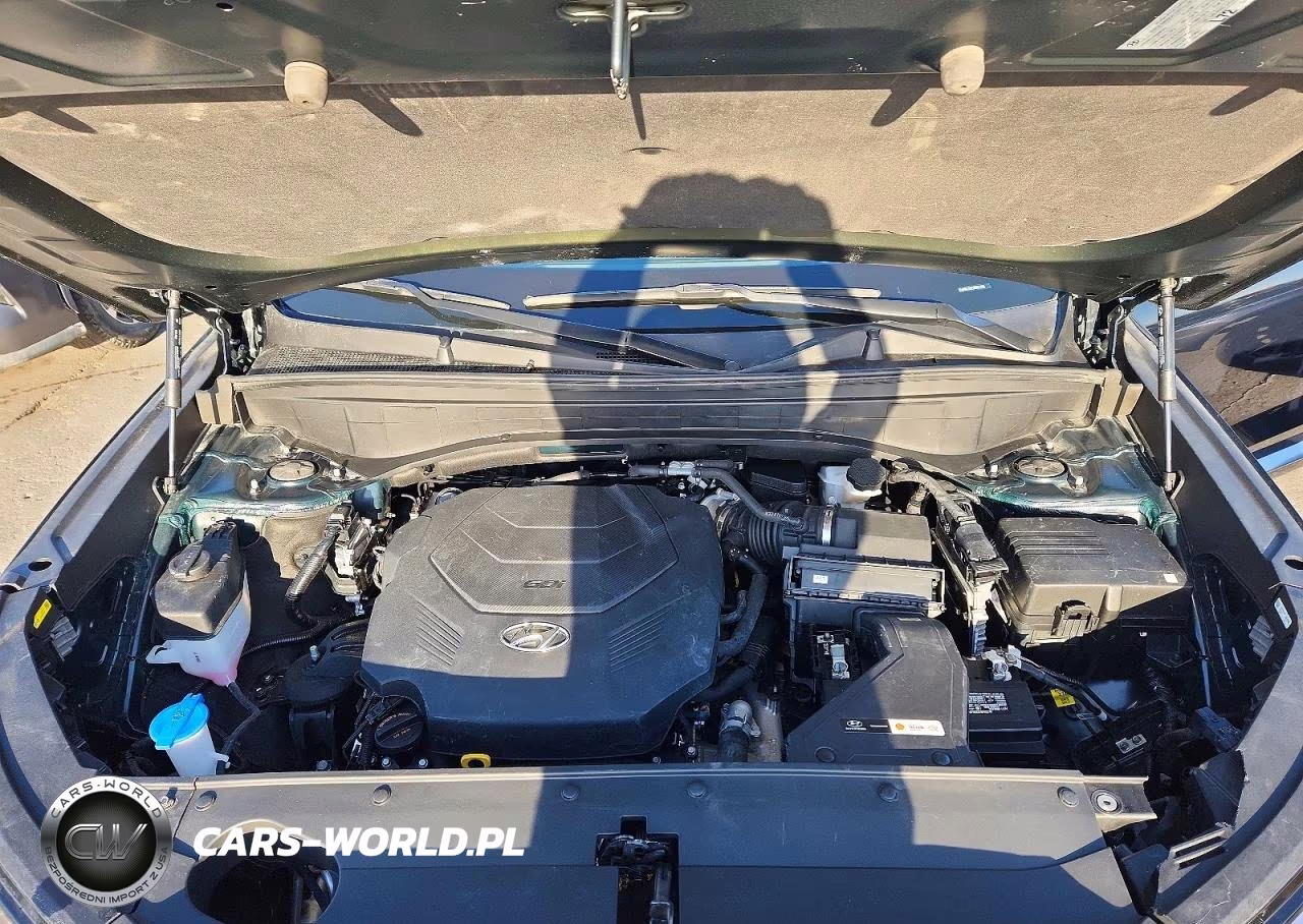 2024 Hyundai Palisade Calligraphy VIN:KM8R7DGE0RU701098 - 12
