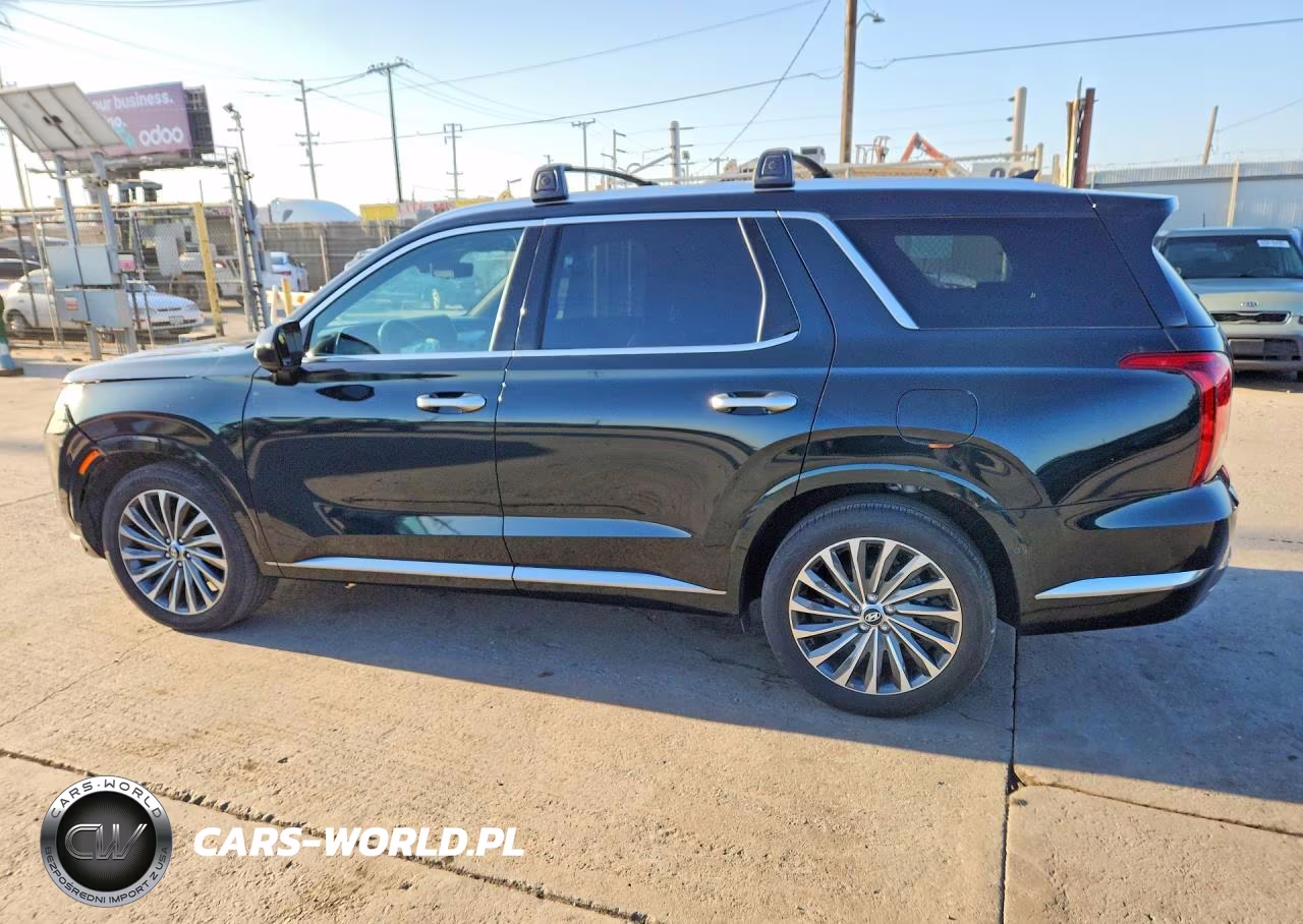 2024 Hyundai Palisade Calligraphy VIN:KM8R7DGE0RU701098 - 2