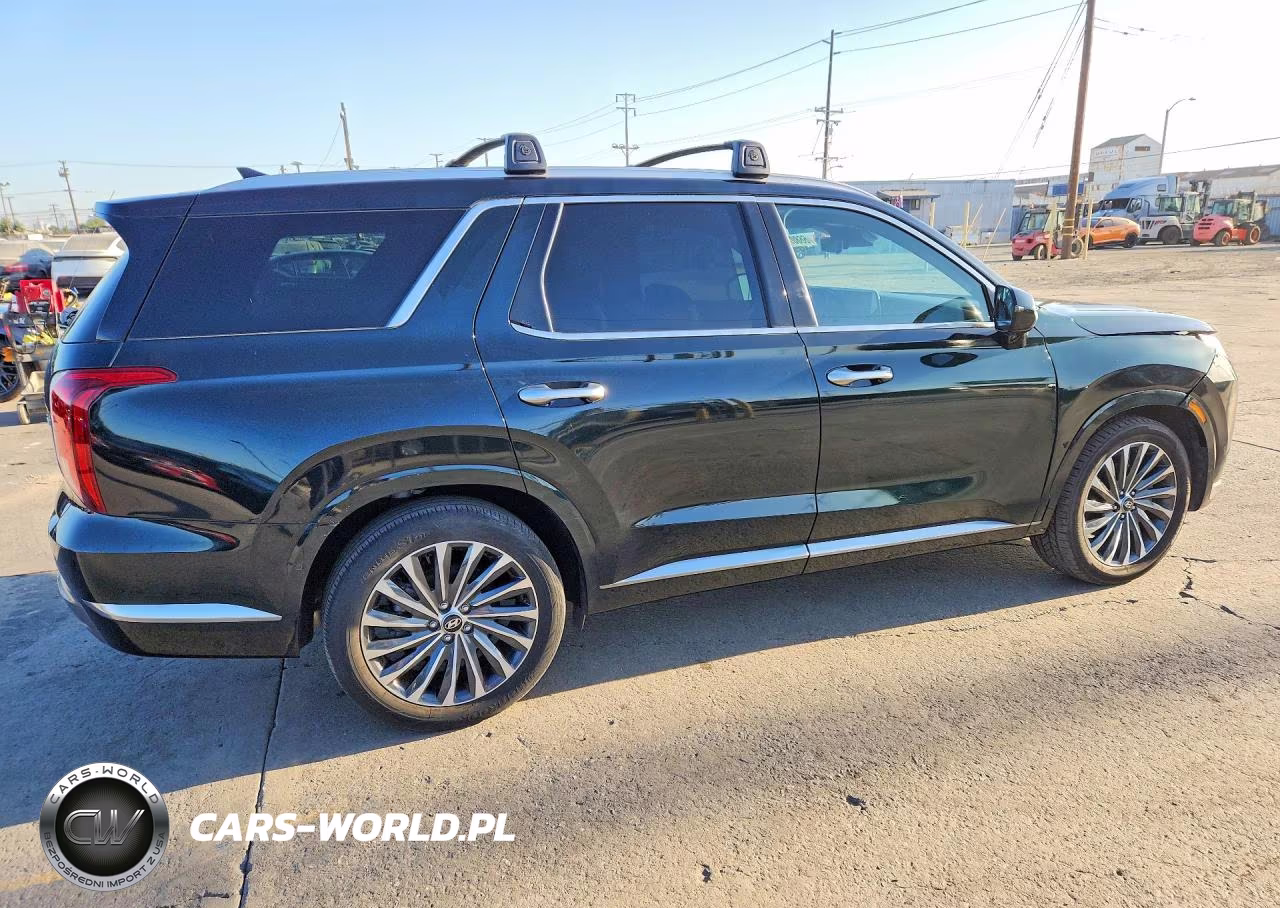 2024 Hyundai Palisade Calligraphy VIN:KM8R7DGE0RU701098 - 3