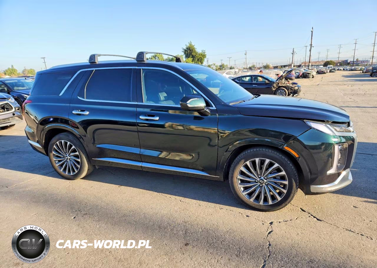 2024 Hyundai Palisade Calligraphy VIN:KM8R7DGE0RU701098 - 4