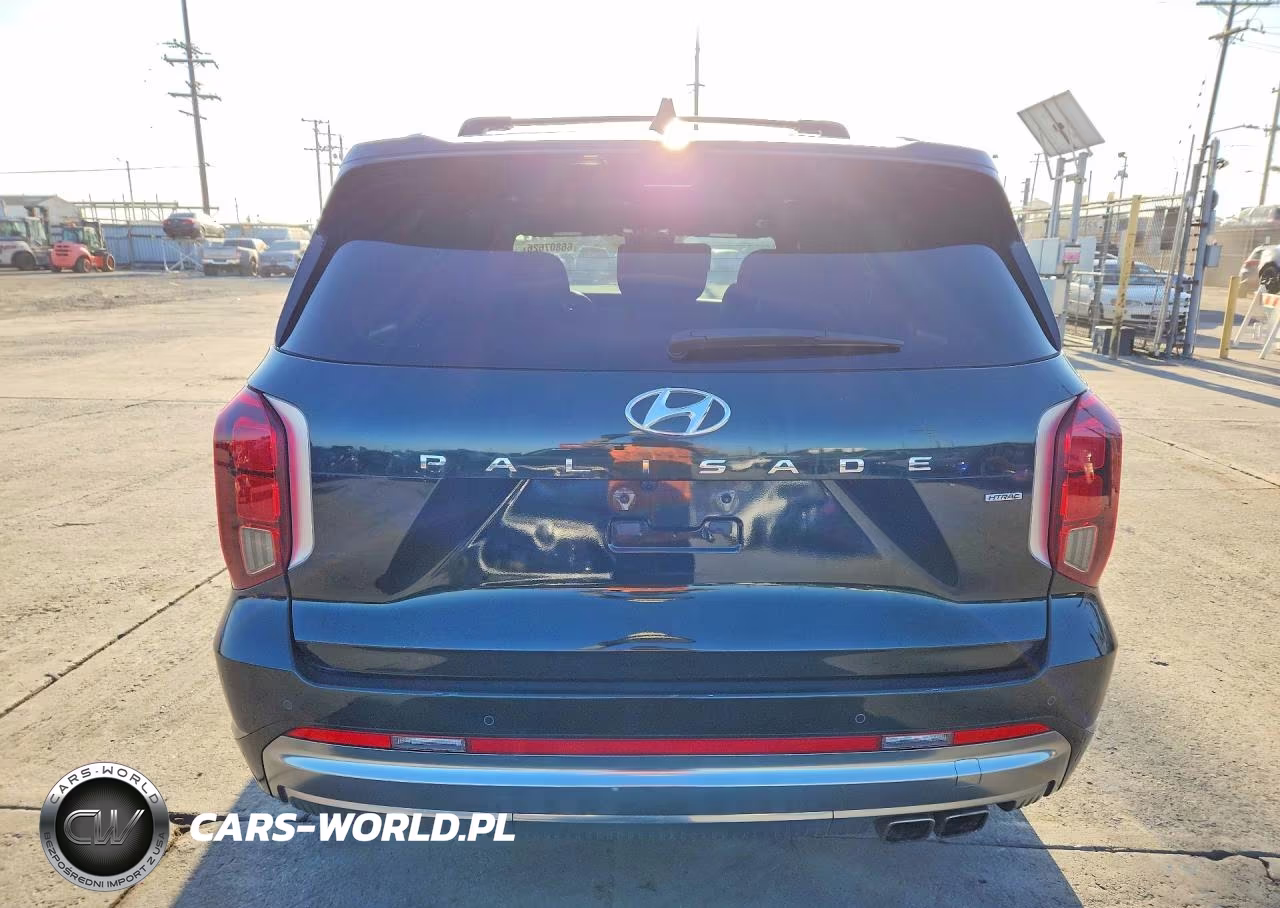 2024 Hyundai Palisade Calligraphy VIN:KM8R7DGE0RU701098 - 6