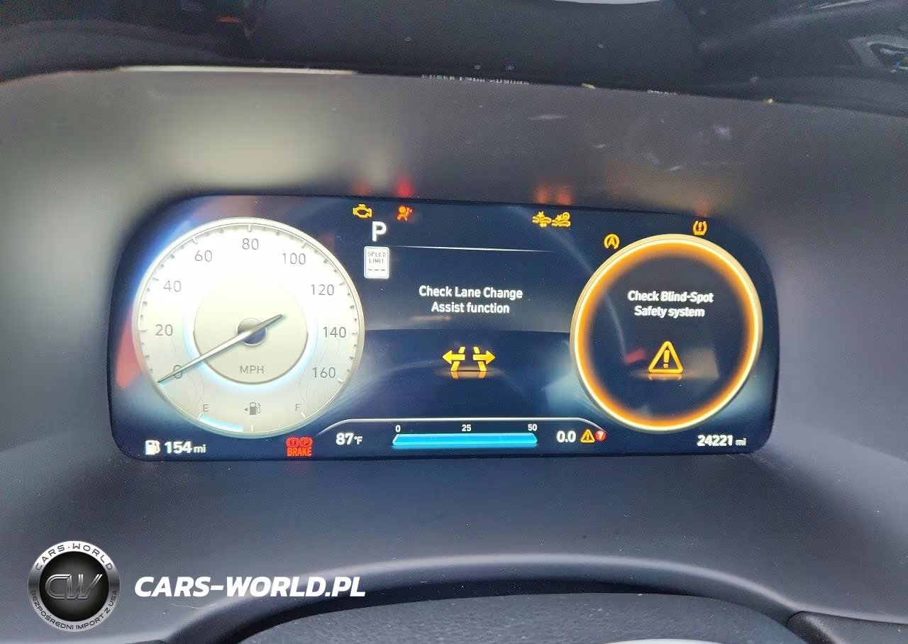 2024 Hyundai Palisade Calligraphy VIN:KM8R7DGE0RU701098 - 9