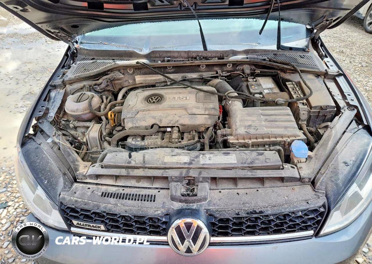 2017 Volkswagen Golf Alltrack S VIN:3VWH17AU9HM516776 - 11