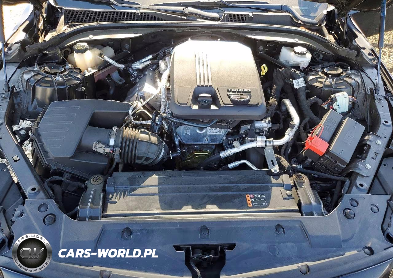 2023 Cadillac Ct5 Luxury VIN:1G6DW5RK5P0120469 - 11