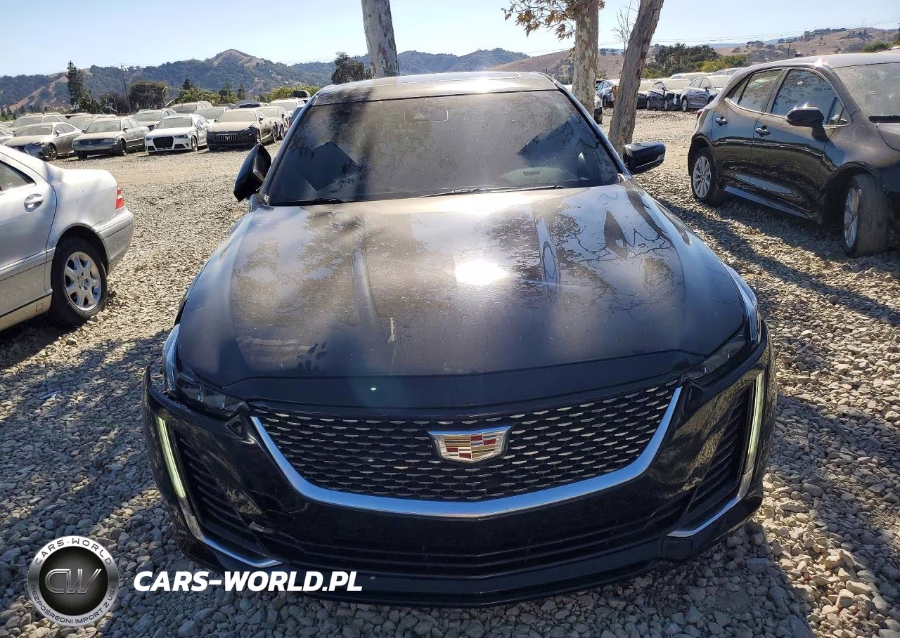2023 Cadillac Ct5 Luxury VIN:1G6DW5RK5P0120469 - 5