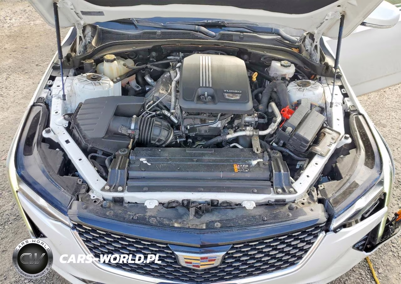 2021 Cadillac Ct4 Premium Luxury VIN:1G6DF5RK0M0111853 - 11