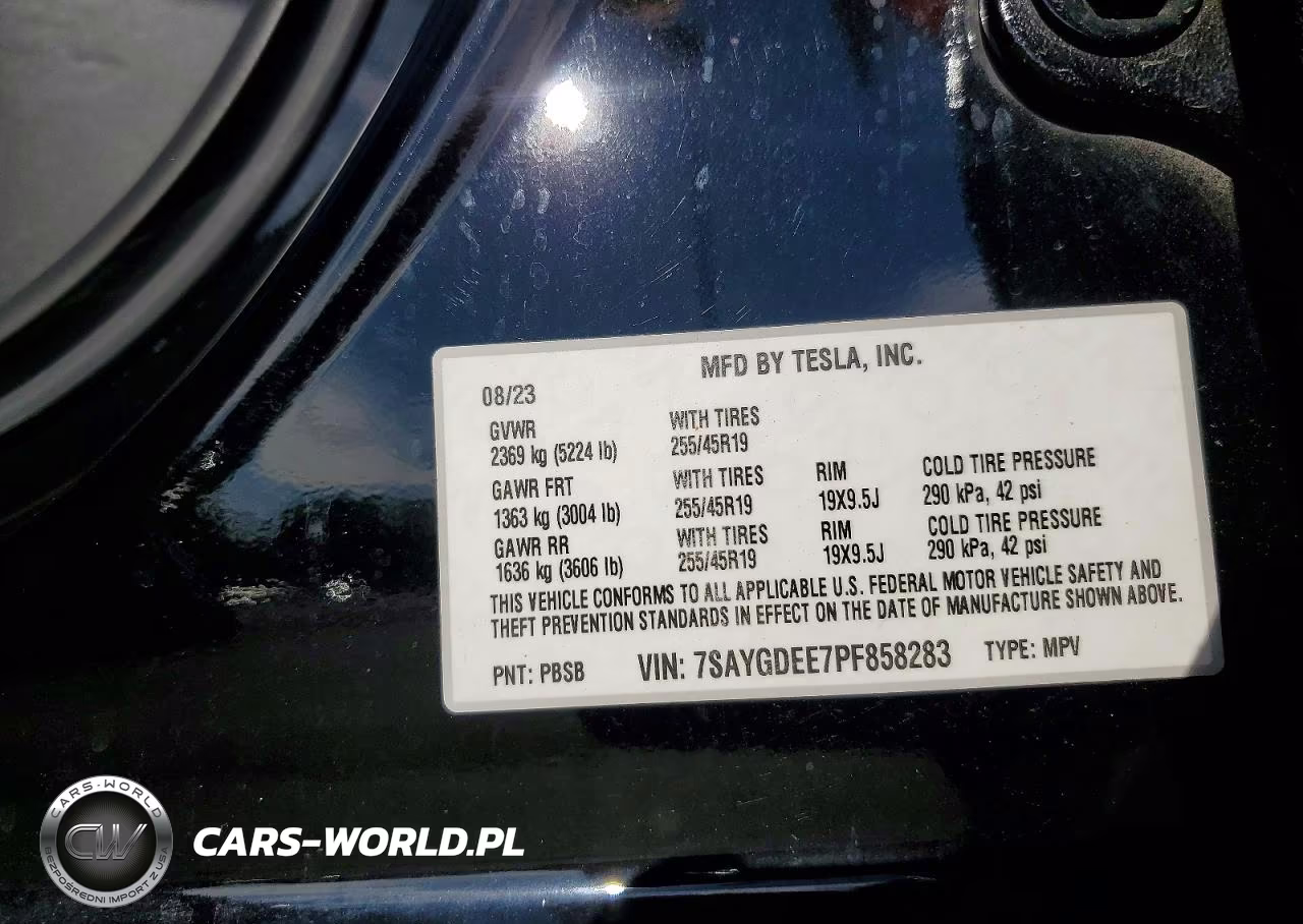 2023 Tesla Model Y VIN:7SAYGDEE7PF858283 - 12