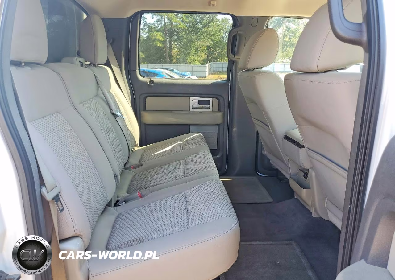 2010 Ford F150 Supercrew VIN:1FTEW1C87AFD42877 - 10